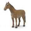 Caballo, marrón