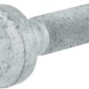Tornillo