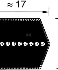 Correa trapezoidal doble
