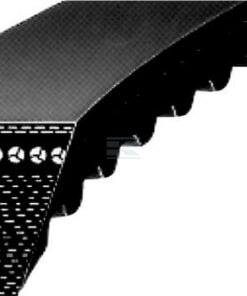 Correa trapezoidal dentada La