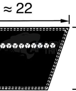 Correa trapezoidal C150 22x3810mm, Optibelt