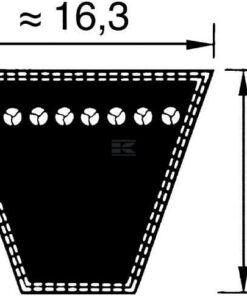 Belt