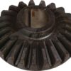 Rueda dentada D.23