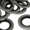 Retén vulcanizado metalgoma-Usit ø1/4" BSP (25 uds.)