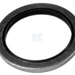 Retén vulcanizado metalgoma-Usit ø3/4" BSP (25 uds.)