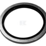 Arandelas Usit-metalgoma Ø1" BSP (25 uds.)