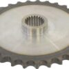 Piñón