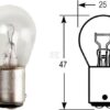 Bombilla 12V 21W (2 uds.)