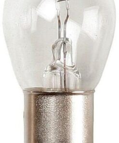 Bombilla 12V 21W (2 uds.)