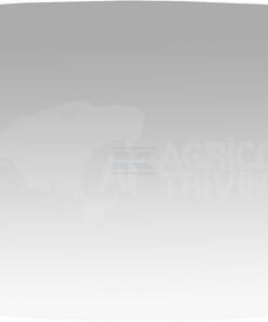 Espejo retrovisor convexo 208x394mm (5 uds.)
