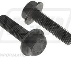 Tornillo cabezal brida M12x45-1.75mm 10.9 (2 uds.)