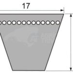 Cinturón de cuña