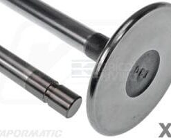 Cinturón de cuña