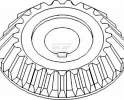 Cinturón de cuña