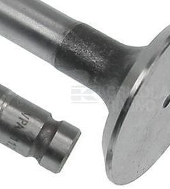 Válvula escape, øcola:9.84mm øcabeza:36.4mm-45º LT:123.5mm  (4 uds.)
