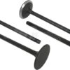 Válvula øcola: 8mm øcabeza:45.5-30º LT:126mm  (4 uds.)