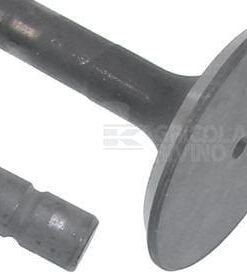 Válvula escape, øcola:7.99mm øcabeza:36.9mm-44º LT:125.7mm  (4 uds.)