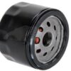 Filtro del motor