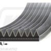 Correa de ventilador