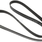Correa del ventilador