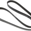 Correa del ventilador