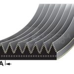 Correa del ventilador