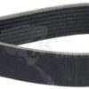 Correa trapezoidal