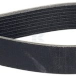 Correa trapecial