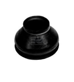 Bota