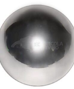 Bola