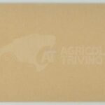 Etiqueta marrón 60x120mm 1 ori