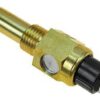 Sensor de temperatura 10 Sensor de temperatura