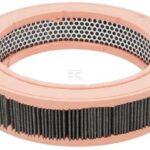 Filtro de carbón de la cabina