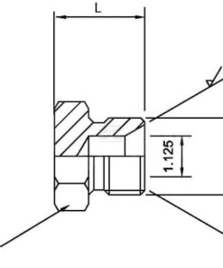 Tapón a rosca BSP 1 1/2