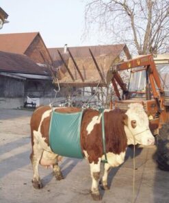 Dispositivo elevación de vacas
