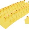 Marcador oreja tipo D 25 uds. 2 Marcador oreja tipo D 25 uds.