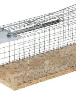 Tr. rat. cap. v. 30x11,5x12 cm