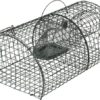 Tr. rat. cap. viva 40x24x18 cm