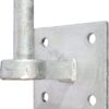 Hook on Plate diameter 19x65 100x100