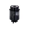 Filtro gasoil