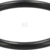 Junta tórica