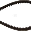Correa trapezoidal AVX