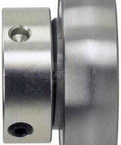Inserto de rodamiento 25 x 52 x 31 SKF