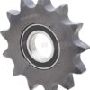 Rueda de cadena
