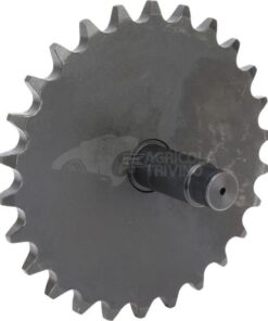 Piñón