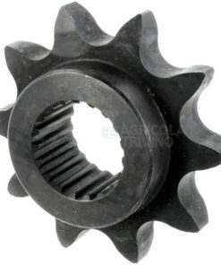 Piñón