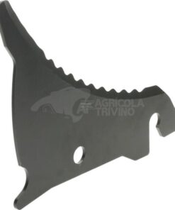 Hoja