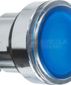 Pulsador iluminado azul
