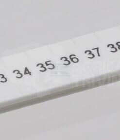 Codificación terminal 31-40