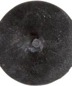 Membrana